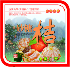 砂糖桔果标