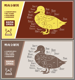 鸭肉分解图