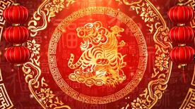 虎年春晚新年喜庆