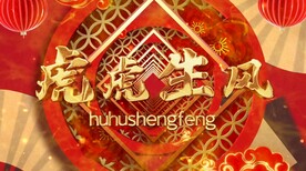 虎年春晚新年喜庆 