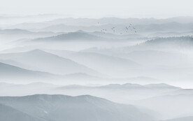 最新中式客厅山水画