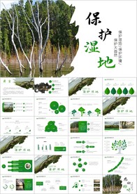 环保森林湿地环境保护生态ppt