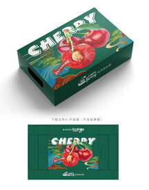 樱桃包装 