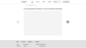 政府门户网站设计