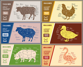 牛肉羊肉猪肉鸡肉鸭肉鹅肉分解图