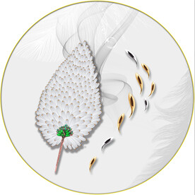 晶瓷画 羽毛 鱼