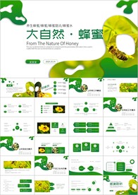 有机天然蜂蜜蜂王浆蜜蜂ppt