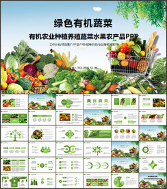 蔬菜种植基地有机蔬菜PPT