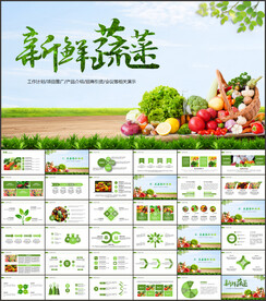 有机蔬菜水果生态农业PPT