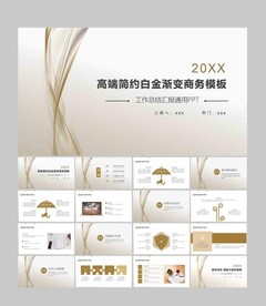 高端简约白金渐变商务模板