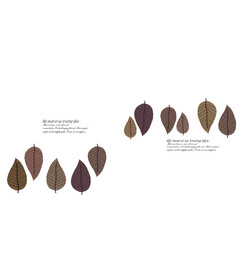 高清分层透明底推拉门打印图