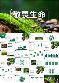 植物发芽植物生长敬畏生命PPT