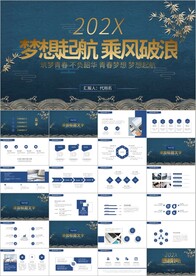 大气鎏金风年终工作总结ppt