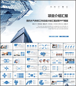 项目介绍工作总结汇报PPT
