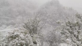 远山 雪景 飘