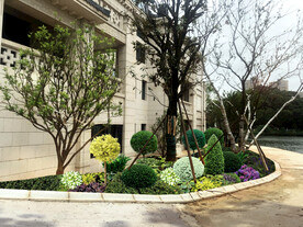 花坛花境景观设计效果图