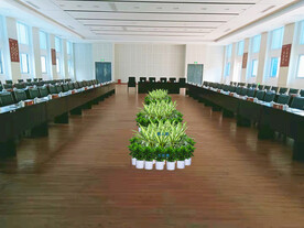 绿植租摆设计效果图