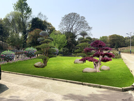 别墅绿化改造设计效果图