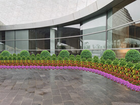 绿植租摆设计效果图