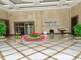 绿植租摆设计效果图