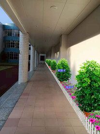 绿化租摆设计效果图