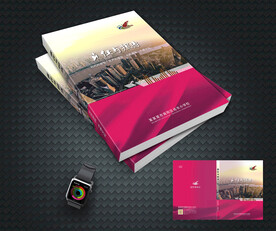 责任与担当封面设计