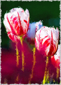 50X70厘数字油画装饰画素材