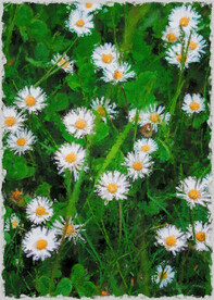 50X70厘数字油画装饰画素材