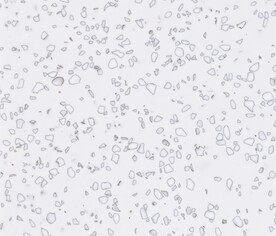 灰色颗粒水磨石