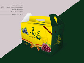 新鲜葡萄包装 平面图