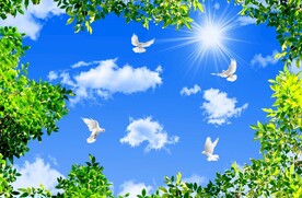 蓝天白云绿叶鸽子