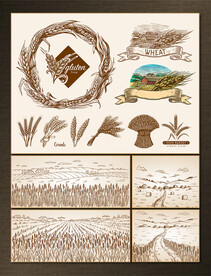 矢量手绘麦穗与麦田