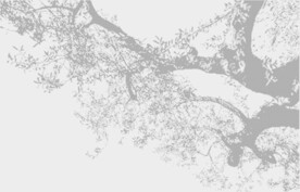 树木冲孔板背景纹理