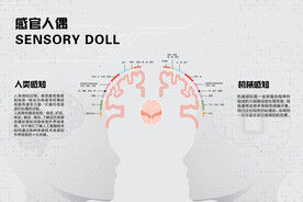 人类感觉器官脑部分区感官人偶