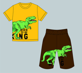 卡通恐龙猛龙印花T恤裤子童装套