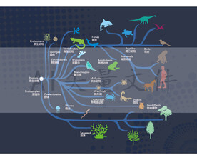 生命树生命的起源动物植物