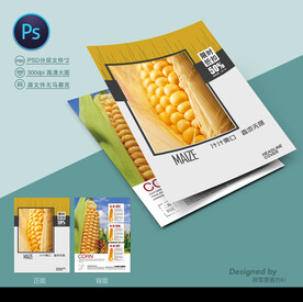 玉米种子宣传单