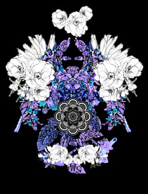 玫瑰花