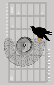 伊拉卡鸟谱抽象画