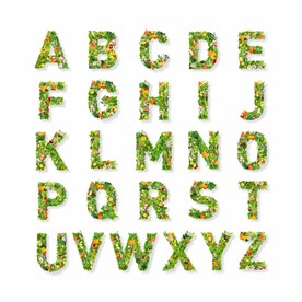 绿色植物英文字母