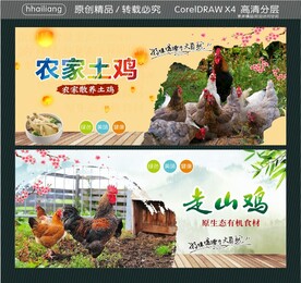 散奍鸡