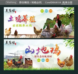 山地鸡 土鸡养殖