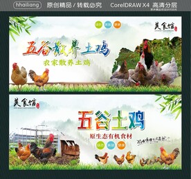 五谷散养土鸡  五谷土鸡