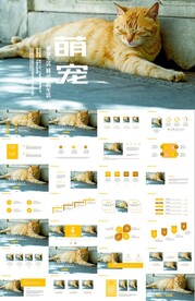 可爱萌宠猫咪宠物美容兽医ppt