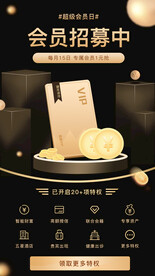 黑金色大气VIP会员特权权益