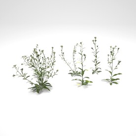 小草模型草木植物模型