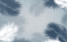 轻奢装饰画 羽毛