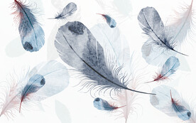 轻奢装饰画 羽毛