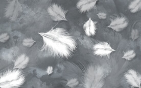 轻奢装饰画 羽毛