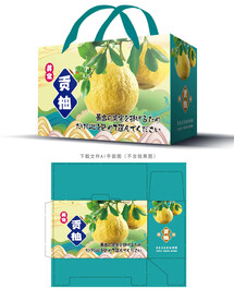 黄金贡柚包装